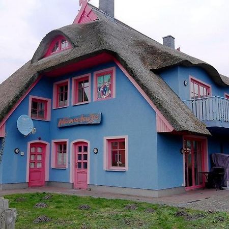Moewenkoje - Moewe 1 Борн Экстерьер фото